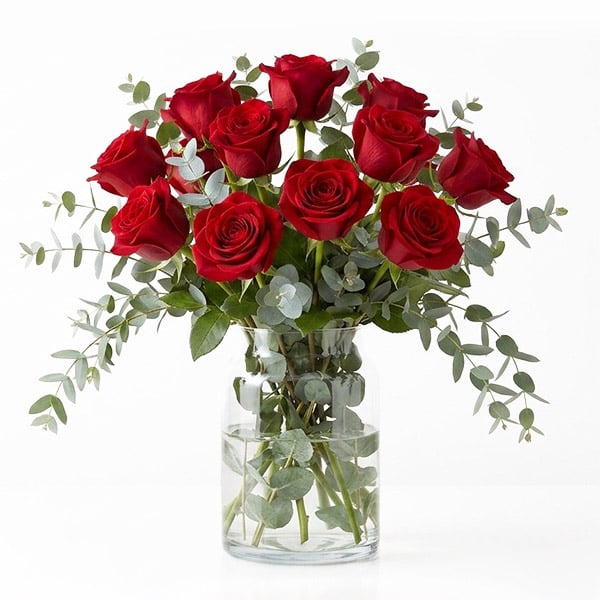 Red Color Roses 