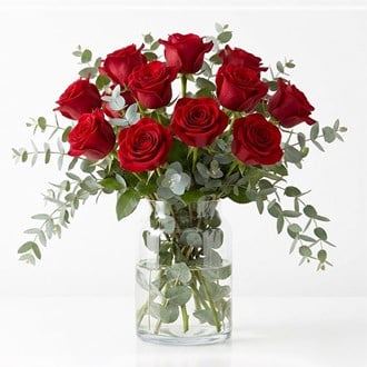 Red Color Roses 