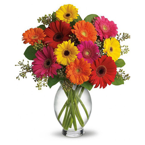 Send Flowers to Switzerland - Jolly Florist | Flower Delivery Switzerland