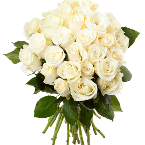 39 White roses