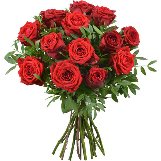Red Color Roses 
