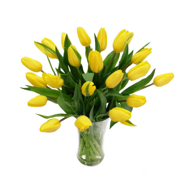 Send Flowers to Sweden Jolly Florist Flower Delivery Sweden